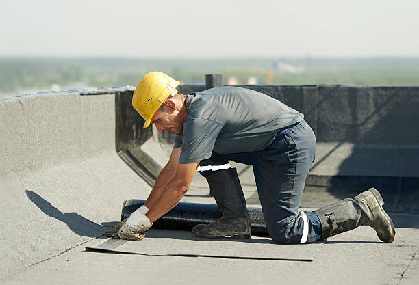 Best Specialty Insulation in San Clemente, CA
